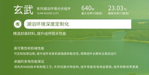 雙良新能科技超級光能系列高效光伏組件榮獲韓國工業標準KS認證，助力銀河棉業綠色發展